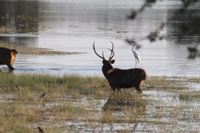 Karauli Village & Wildlife Tour From Jaipur - Directions
