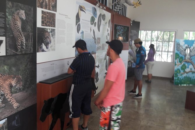 Kayak and Embera Village in Chagres Park - What to Expect
