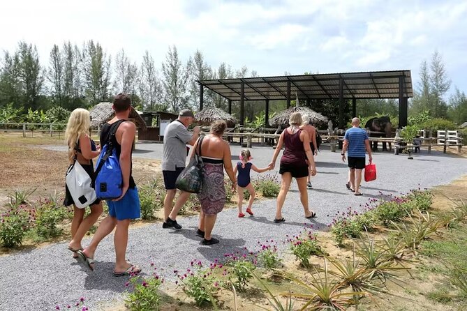 Khao Lak Highlights Tour With Buddhist Temple Blessing - The Sum Up