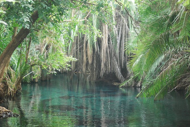 Kikuletwa Hot Springs - Day Trip - Directions