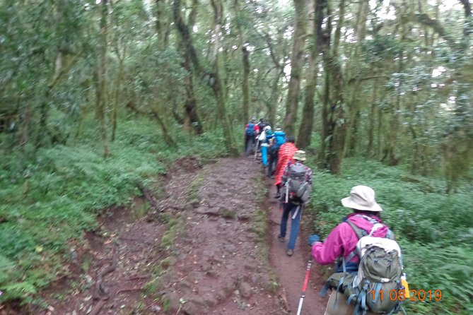 Kilimanjaro Day Hike - Physical Requirements for Hikers