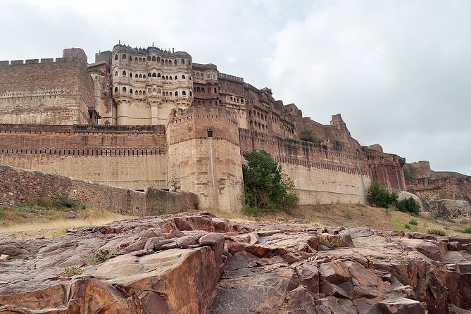 Kite Feeding Experience at Mehrangarh Fort, Jodhpur - Terms and Conditions