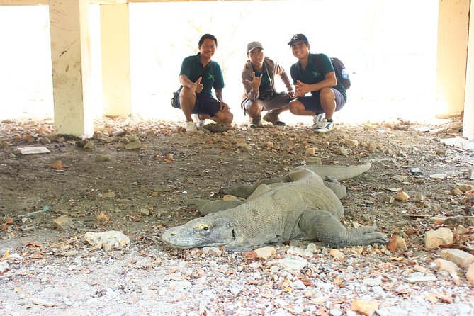Komodo Sailing Cruise - Cancellation Policy Overview