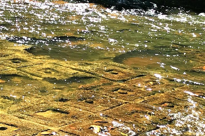 Kulen 1000 Shiva Lingas Waterfall Private Tour - Booking Information