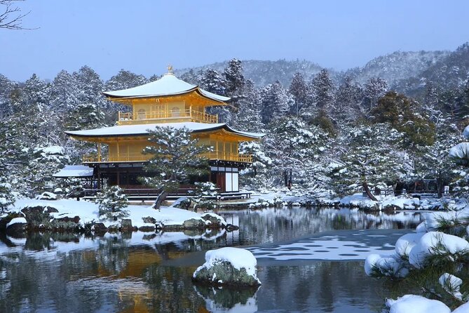 Kyoto and Nara Park Day Tour From Osaka/Kyoto. - Accessibility and Policies