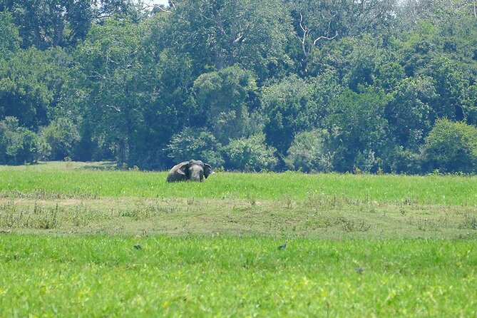 Lahugala Kitulana National Park Safari With Naturalist - Cancellation Policy Details