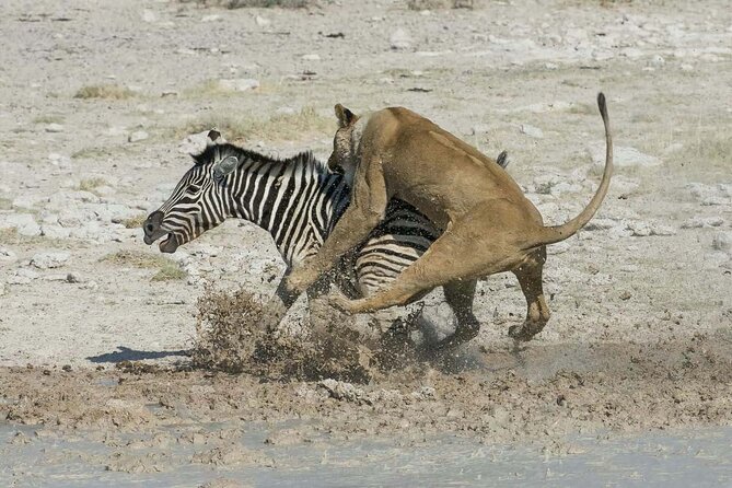 Lake Eyasi and Ngorongoro Crater Tour From Arusha - Price and Reviews