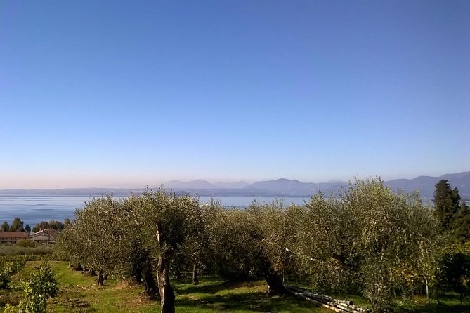 Lake Garda: Wine Museum and Tasting Among Lakeside Villages - Culinary Delights and Gratuities Included
