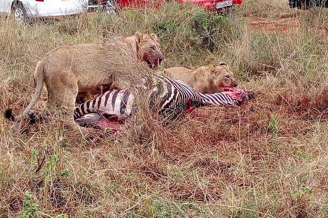 Lake Manyara, Serengeti and Ngoro Ngoro 4 Days Group Joining Tour - Additional Information