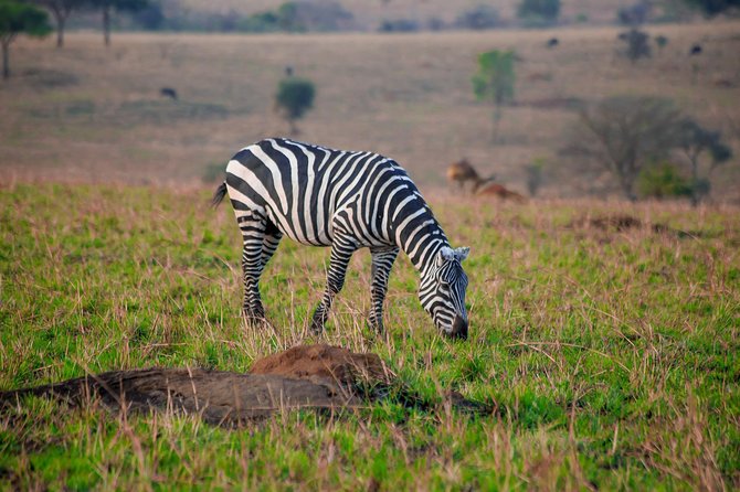 LAKE MBURO 2 Day Safari - Logistics Information