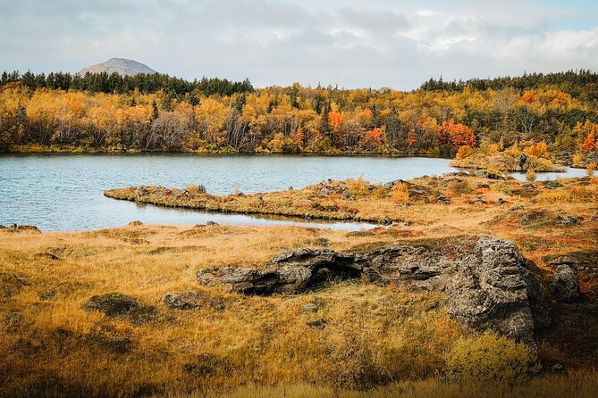 Lake Myvatn Godafoss and Dettifoss Waterfalls Tour in Iceland - Pricing and Guarantee