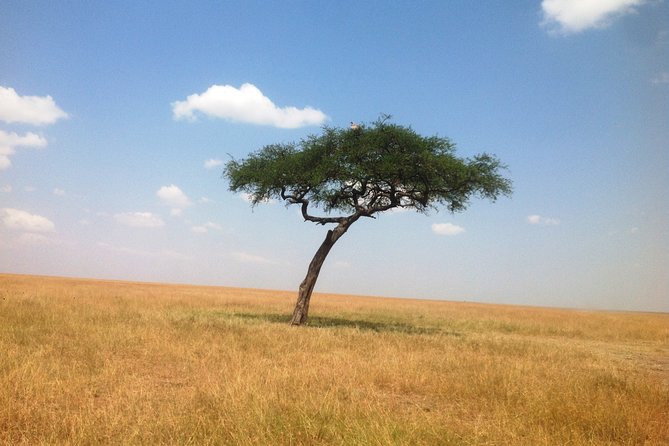 Lake Naivasha With Crescent Island 2-Day Safari From Nairobi - Accessibility Features