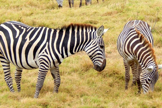 Lake Nakuru National Park Day Tour From Nairobi - Exclusions