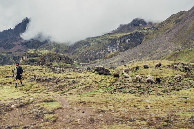 Lares Trek to Machu Picchu (4 Days) - Machu Picchu Experience