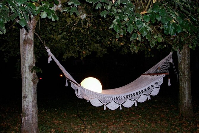 Le Moulin Jaune & Castle of Rentilly - Private Trip - Accessibility Information