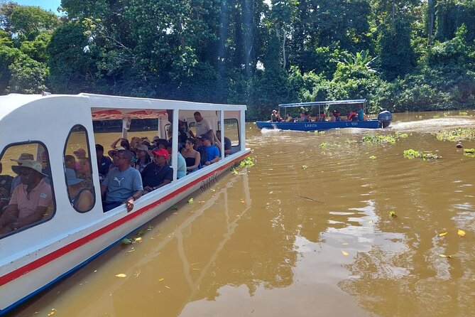 Limón Rainforest Hanging Bridges-Skywalk Tour & Tortuguero Canals - Wildlife Encounters