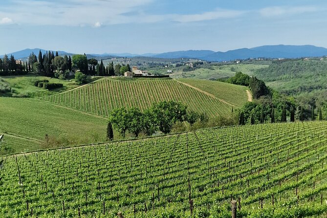 Limousine Service for Dinner in Florence or the Countryside New!! - Cancellation Policy