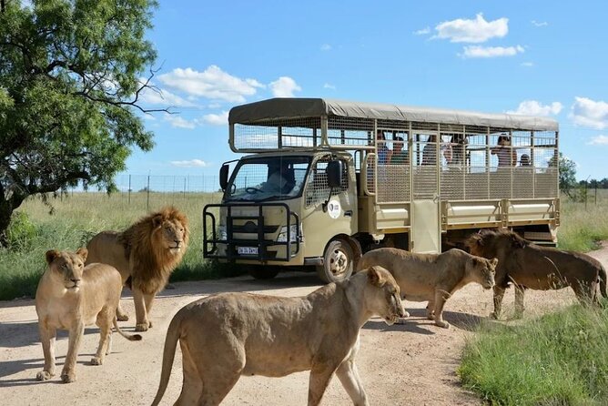 Lion and Safari Park Open Truck Game Drive - Price Information