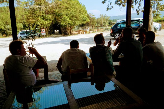 Lisbon Surf & Wine - Pickup Locations and Meeting Point