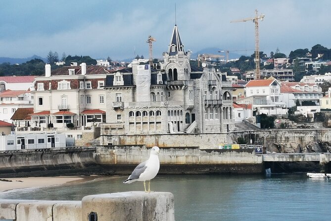 Lisbon to Cascais Beaches Full Day Private Tour - Cancellation Policy Details
