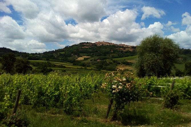 Livorno Port ShorExcursion: Montalcino Pienza Tuscany Wine&Cheese - Pricing and Reservation