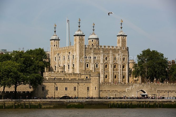 Londons Highlights on a Full Day Private Tour From Southampton - Additional Information for Travelers