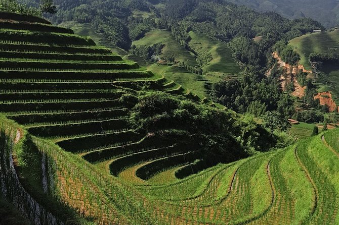 Longji Rice Terraces Day Tour With the Pingan and Dazhai Village - Booking and Pickup Details
