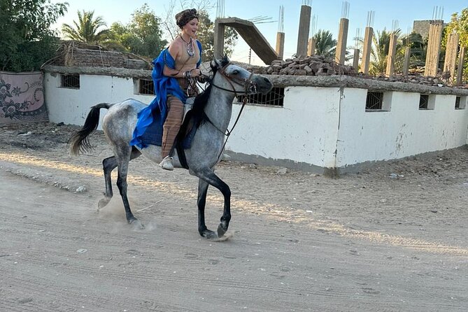 Luxor Amazing Horse Riding Tour in West Bank With Transfer - Additional Details