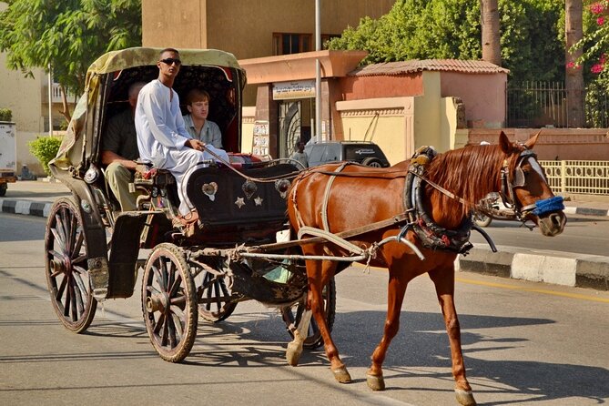 Luxor City Private Tour by Horse Carriage - Tour Overview