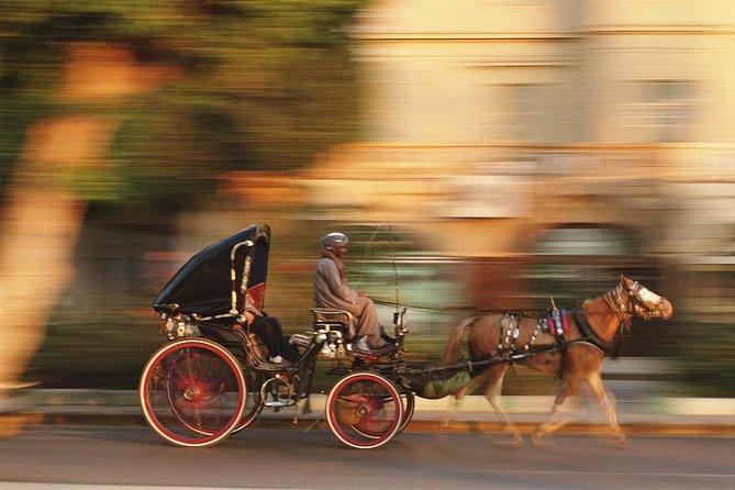 Luxor City Tour By Horse Carriage - Expectations and Accessibility