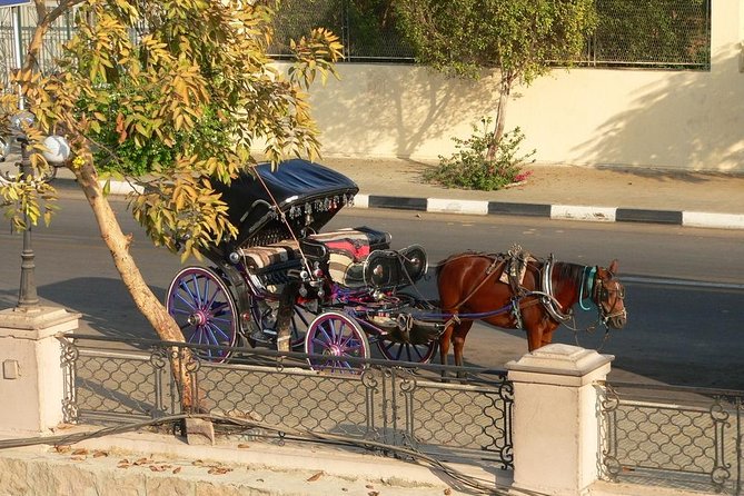 Luxor City Tour by Horse Carriage - What to Expect on the Tour