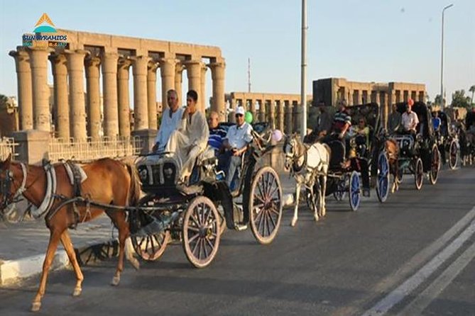 Luxor City Tour By Horse Carriage in Egypt - What to Expect During the Tour