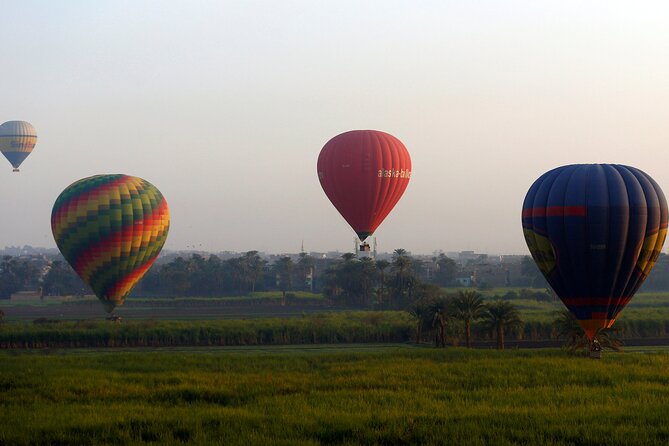 Luxor Hot Air Balloon Ride: Sunrise Over the Nile and Thebes - What To Expect