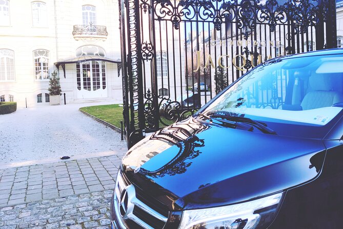 Luxury Full Day Tour - Tour Operator Information