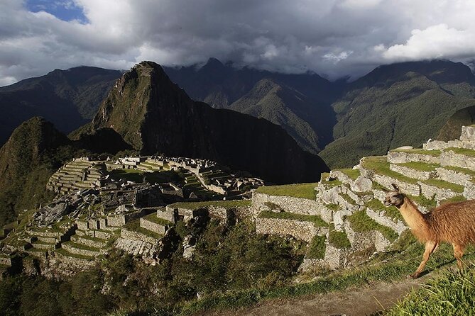 Machu Picchu Full Day All Included - Recommendations