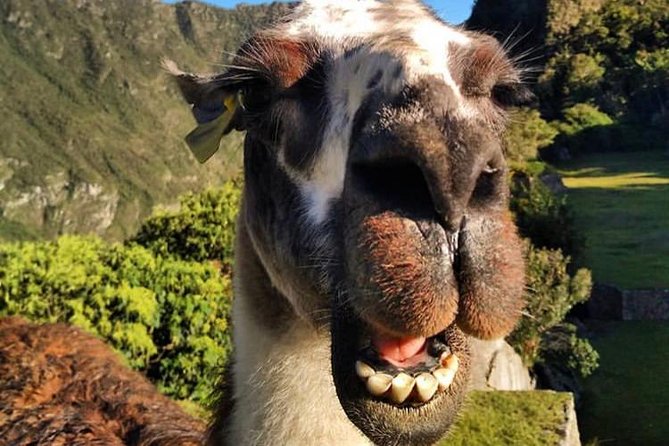 Machu Picchu Travel - The Sum Up