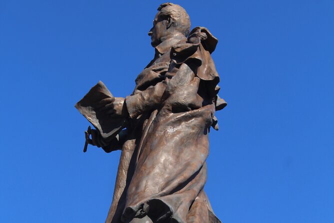 Mâcon - Private Historic Walking Tour - Guide Information