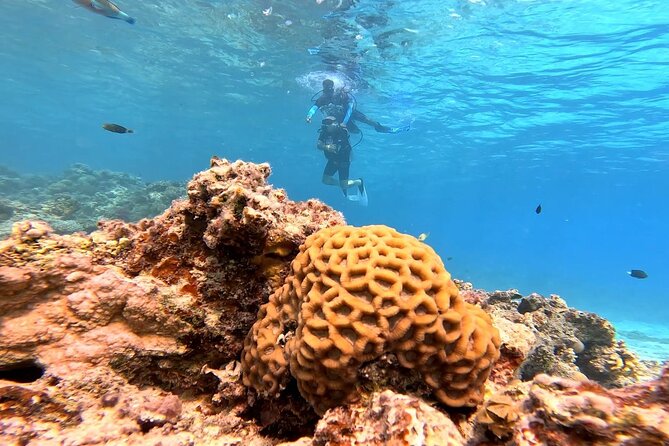 Magaweesh Island Snorkeling Trip With Water Sports From Hurghada - Trip Details and Inclusions