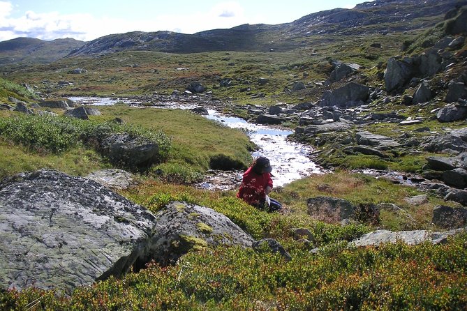 Magical Norway 6day Private Tour From Oslo to Bergen - Price and Guarantee