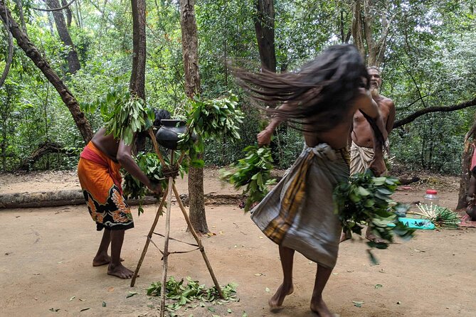 Mahiyanganaya and Remote Village Tour - Exclusions and Pickup