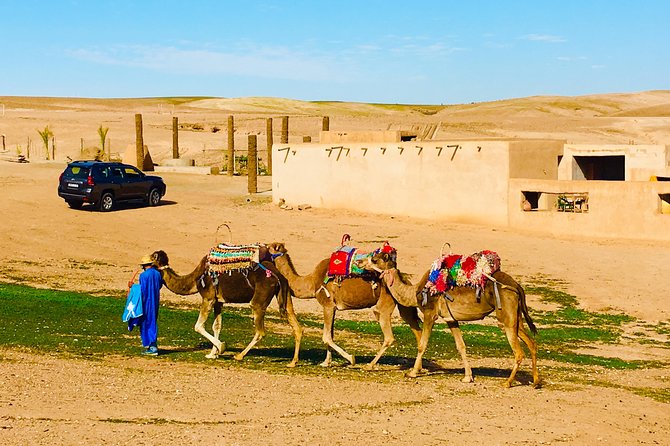 Majorelle Gardens,Desert Camel Riding , Lunch in a Tent and Atlas Private Tour - Booking Information