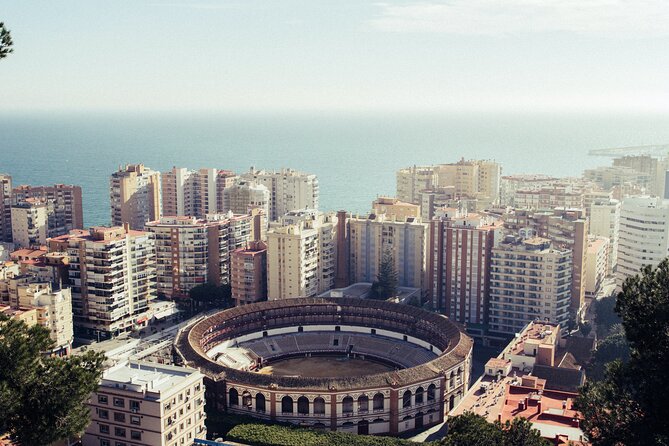 Malaga Like a Local: Customized Private Tour - Local Insights and Hidden Gems