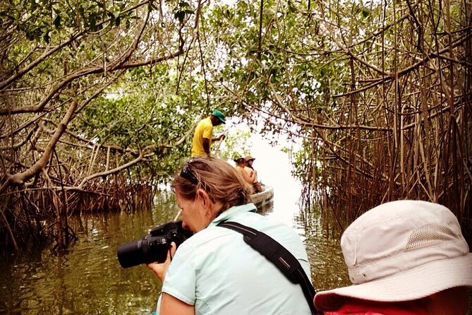 Mangroves and Fishing Show - Cancellation Policy