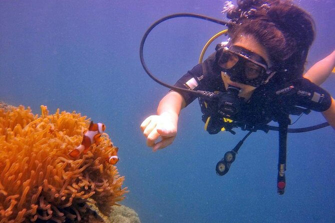 Mantanani Island Diving Paradise Tour From Kota Kinabalu - Tour Start Time