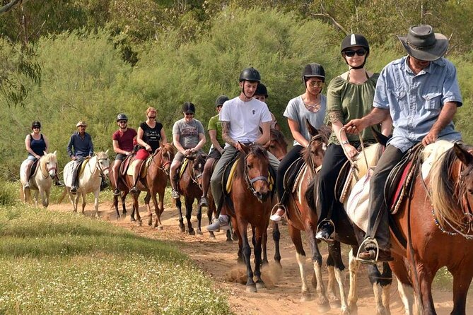 Marmaris Horse Riding With Friendly Horses & Professional Trainer - Physical Requirements