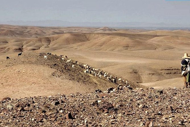 Marrakech: Agafay Desert Camel Ride and Dinner - Meeting and Pickup