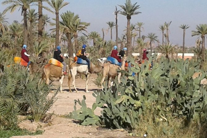 Marrakech Camel Ride 02 Hours Pick-Up &Drop-Off - Frequently Asked Questions