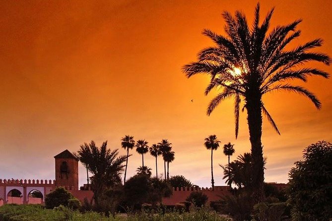 Marrakech Full Day Private Tour - Accessibility Information