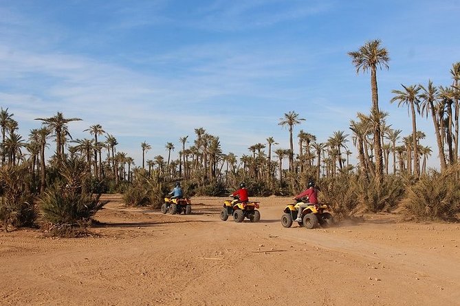 Marrakech: Half-Day Desert Quad & Dromedary Tour - The Sum Up