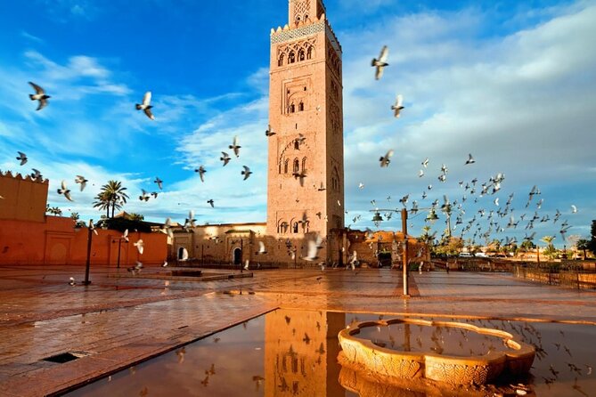 Marrakech Half-Day Guided City Tour - Pricing